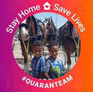 Meet your Posher, Marcell